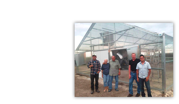 About Wisconsin Greenhouse Company